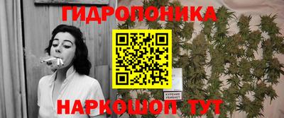 амф Усть-Джегута
