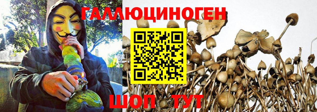 Каннабис  Меф МЯУ МЯУ   Кудрово  Гашиш  Купить наркотик  Кокаин  МЕФ  Вход с VPN  Alpha PVP СОЛЬ   NBOMe 