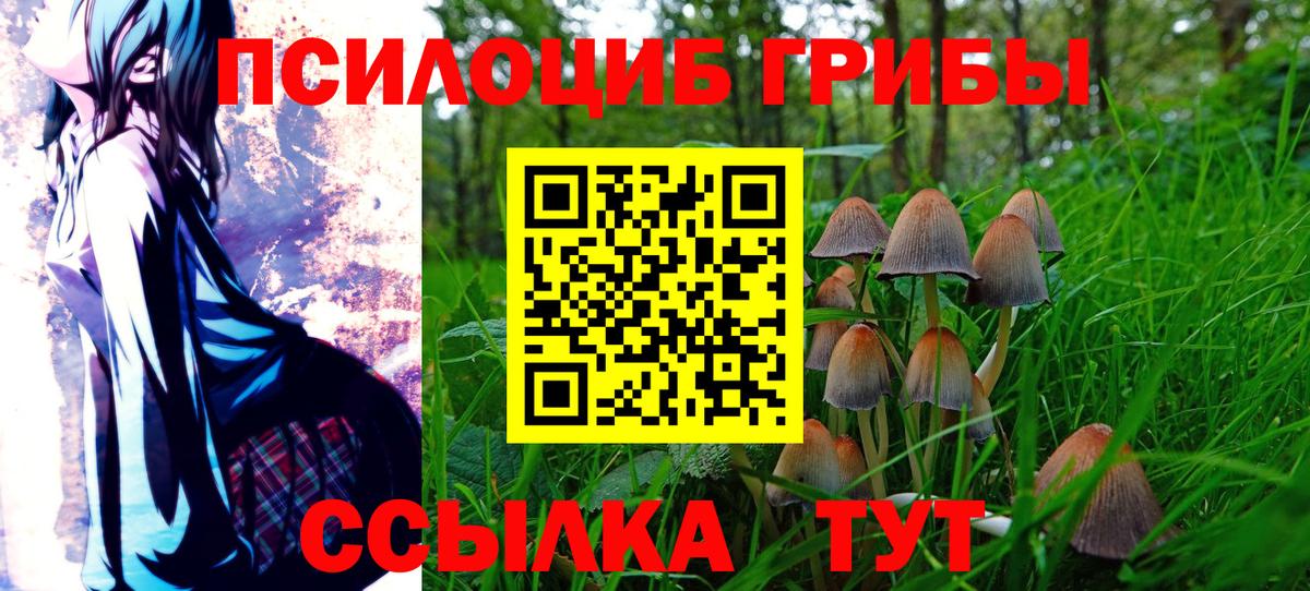 Кудрово  даркнет сайт  Вход с VPN  Галлюциногенные грибы Psilocybine cubensis  Псилоцибиновые грибы мицелий 