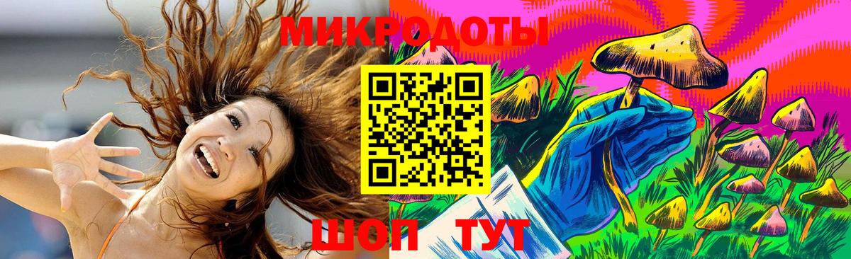Галлюциногенные грибы Psilocybine cubensis Кудрово